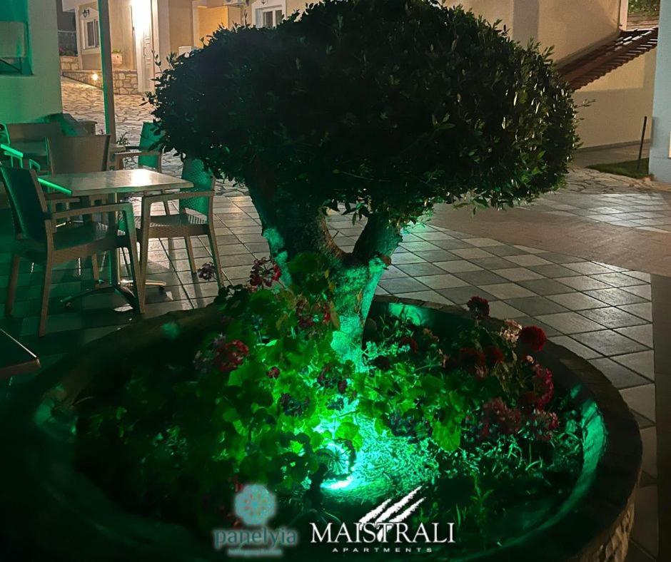 Maistrali Hotel Zante Τραγάκι Εξωτερικό φωτογραφία